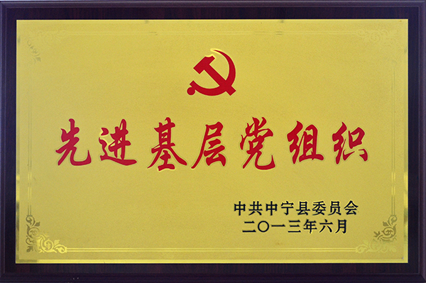 2013先进基层党组织.JPG